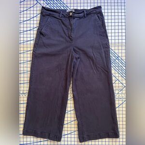 Everlane Cropped Wide Leg Pant in Navy - Size 16
